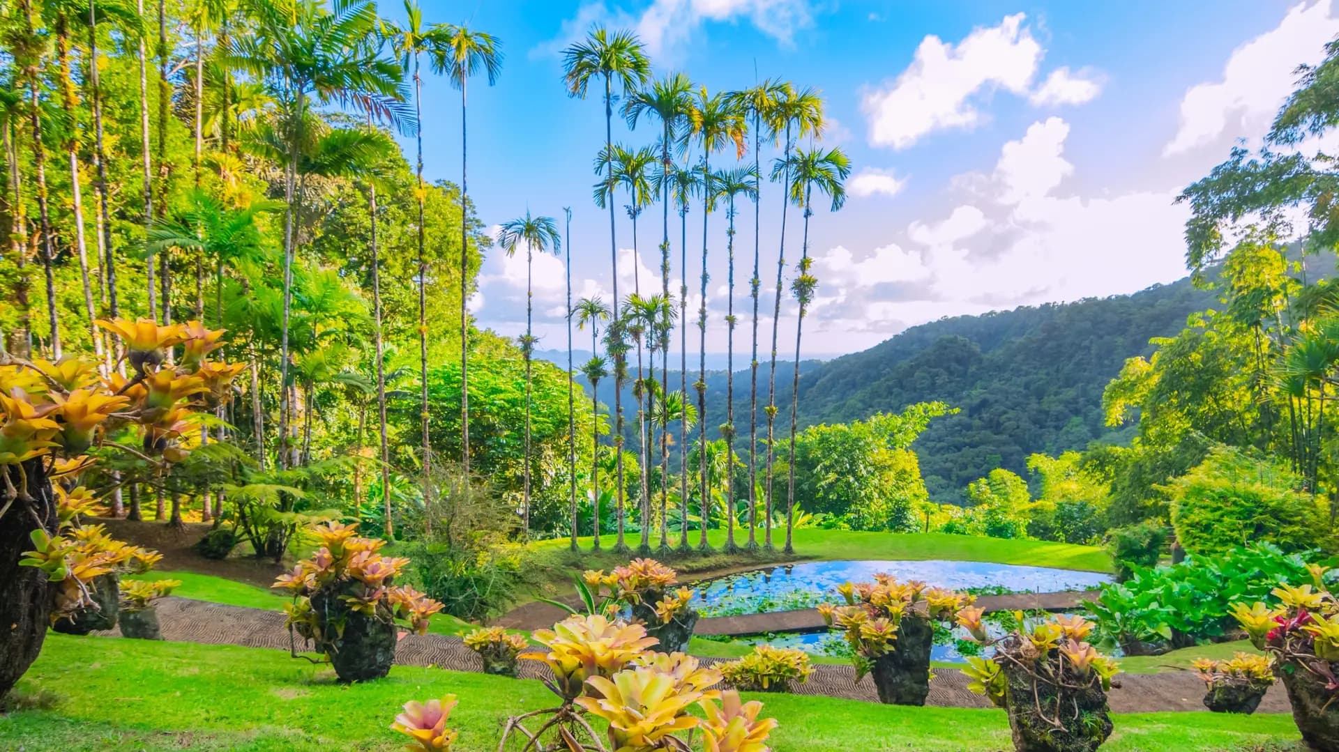 Nature & Landscapes