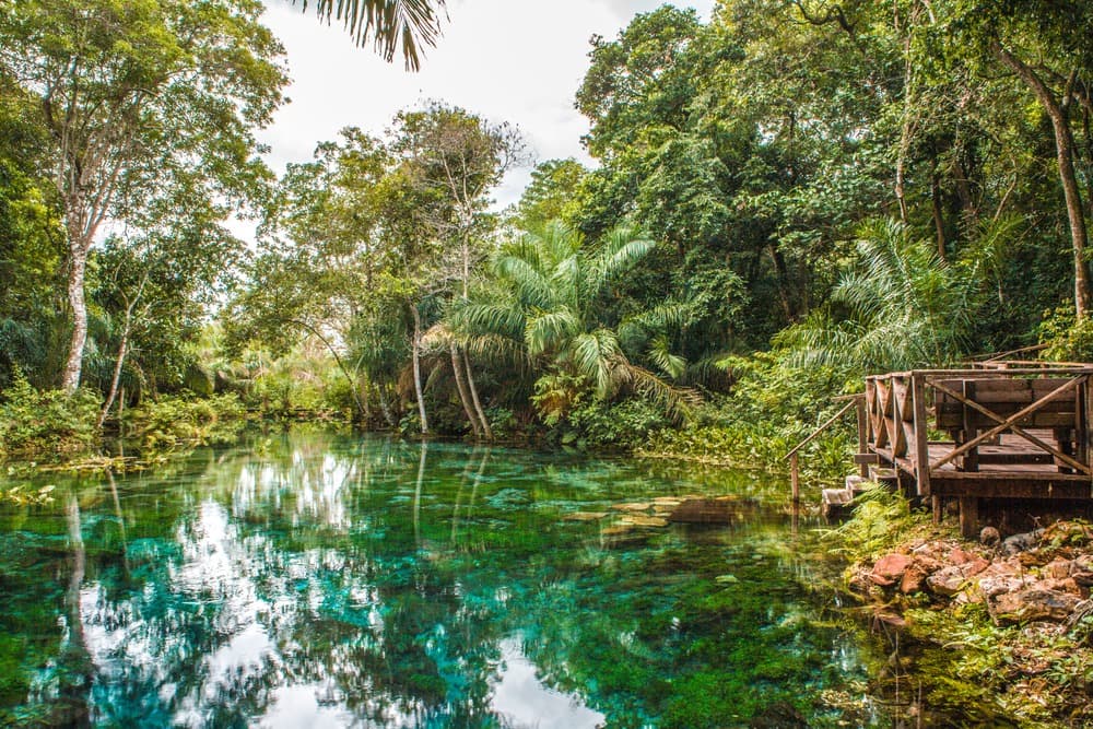 Sucuri River